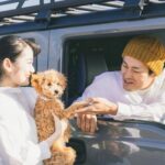 【呉市】9月中のお出かけに間に合う！秋の行楽にぴったりな快適中古車選び【カーマッチ広島呉店】