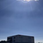 【呉市の中古車探し】TAA（トヨタオートオークション）広島会場へ！カーマッチ広島呉店が仕入れでこだわる「厳しい厳選基準」